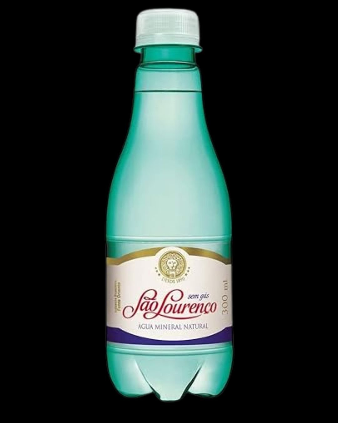 Água sem Gás 330 ml